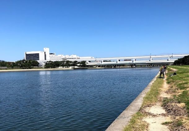 チヌだらけ！トップに出まくり！釣れたのは…