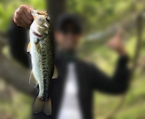 どアフターバス