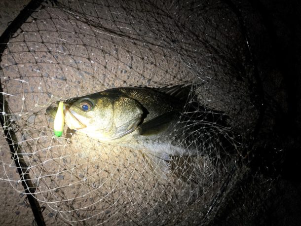 岸からのルアー釣りに大事なこと