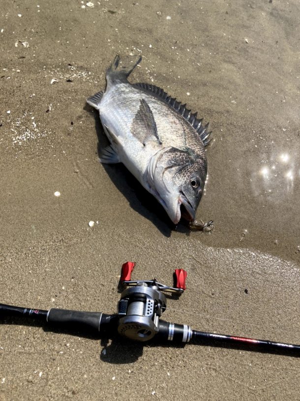 チニング始めてから釣りに使う金が激減した