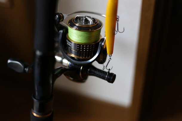 プレミアムおまもり君