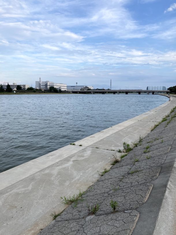 夏のチニング！チヌ連発モード突入！トップでも