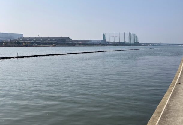 武庫川は基本チヌが多い