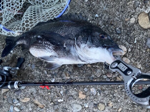 ボトムを狙う釣り方