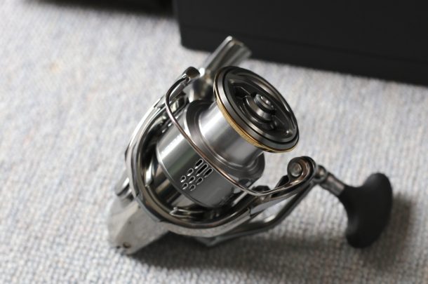 美しすぎるステラの写真