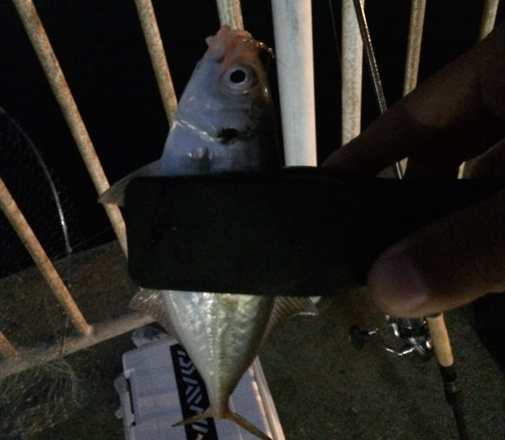 アジングロッドイメージ