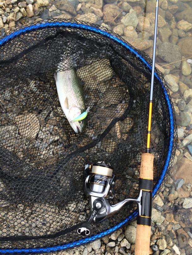 ヴァンキッシュを使ってみた画像