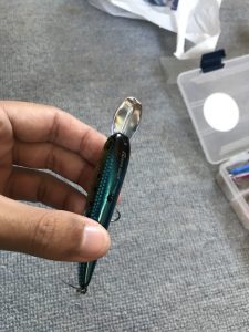 ライザーベイトイメージ