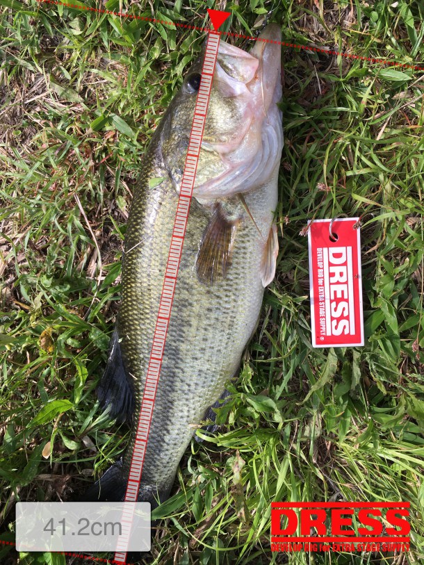 40センチオーバーのバス