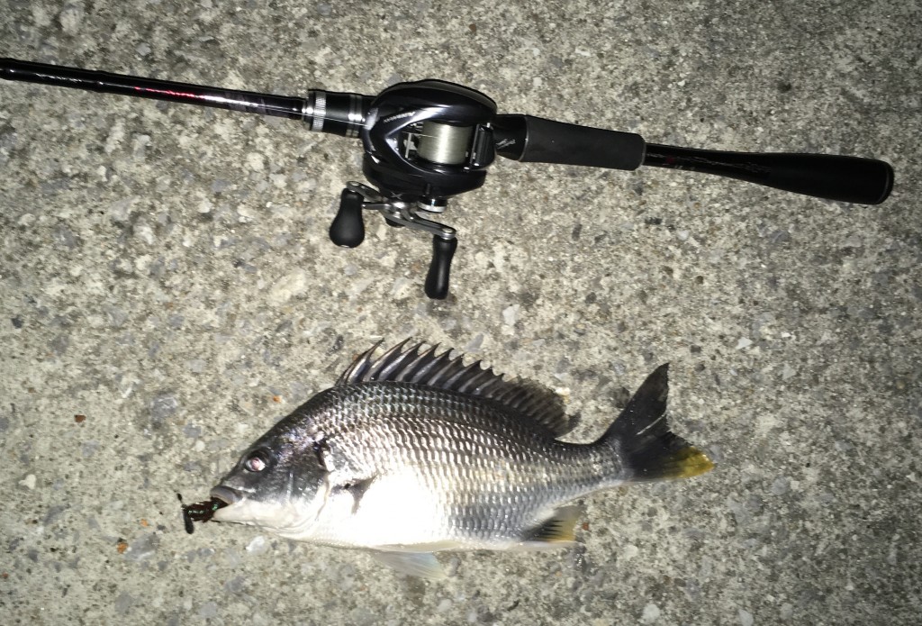 ベイトフィネスイメージ