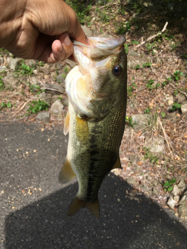 どアフターバス