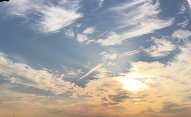 エギングいめーじ