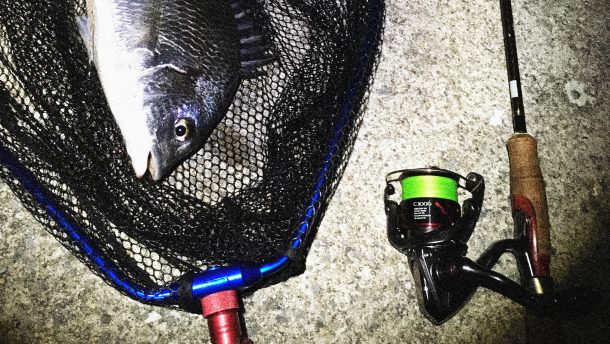 ストラディックCI4+[STRADIC CI4+]を使ってみた【インプレ】