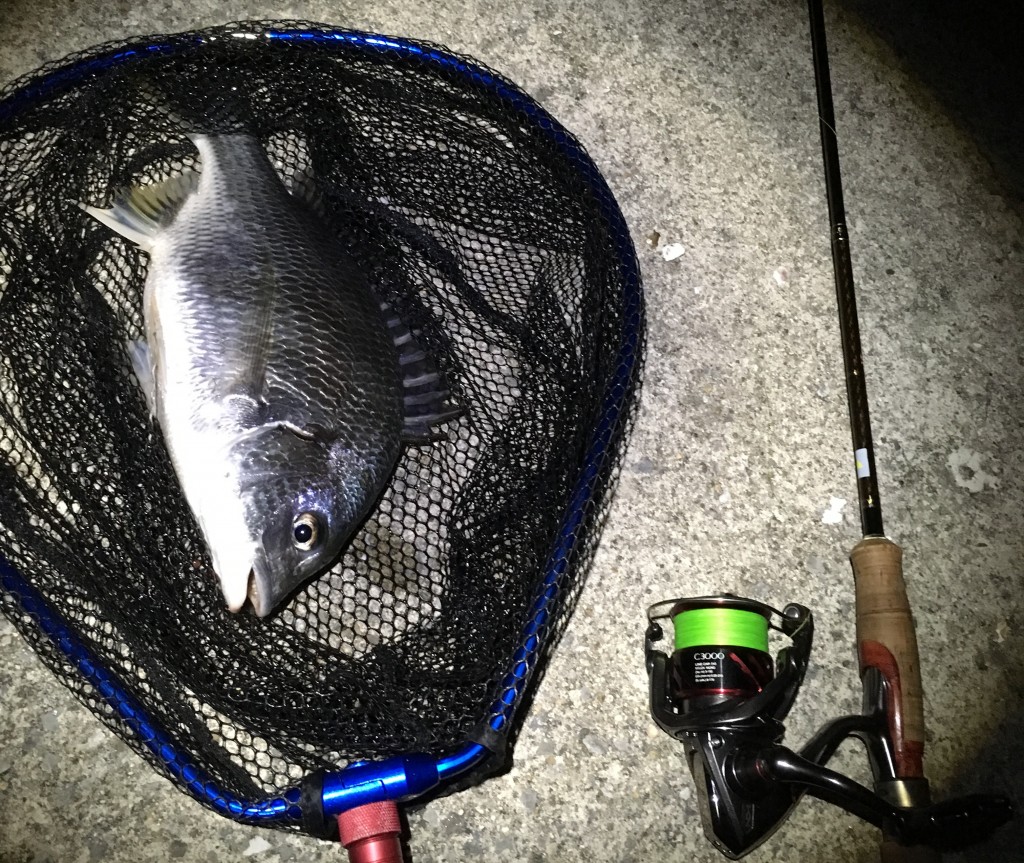 ロッドイメージ