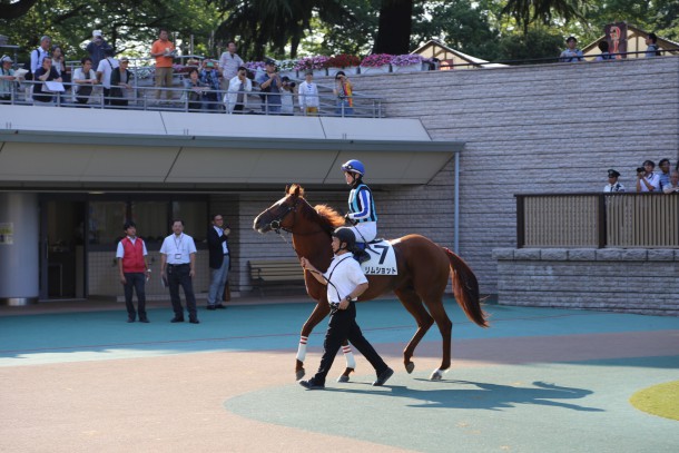 藤田菜七子ちゃん