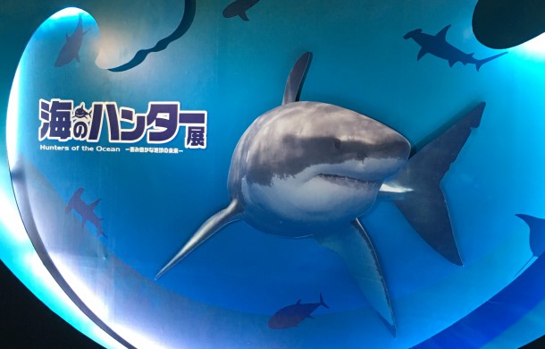 海のハンター展イメージ