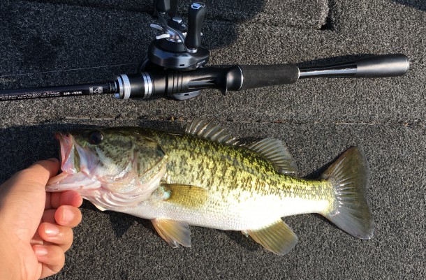 ３５くらいのバス