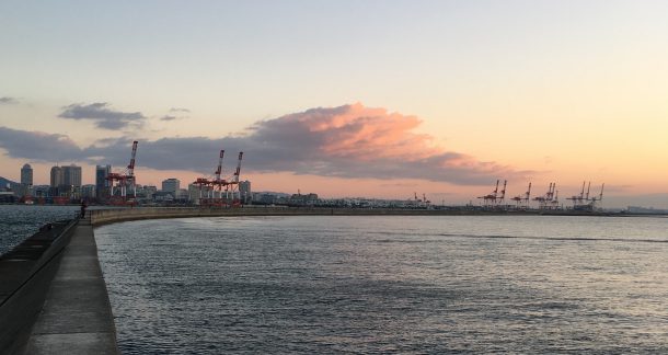 ライトショアジギング