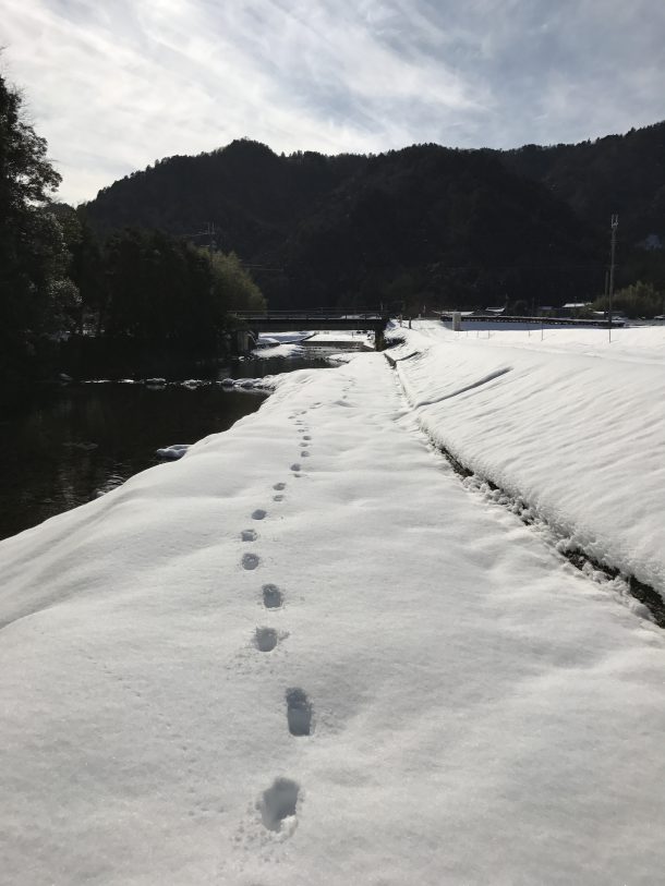 足あとは私のものだけ