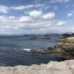 陸っぱりの釣りの魅力と攻略法まとめ