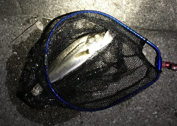 タモ網（ランディングネット）を紹介！使い方やおすすめ商品について