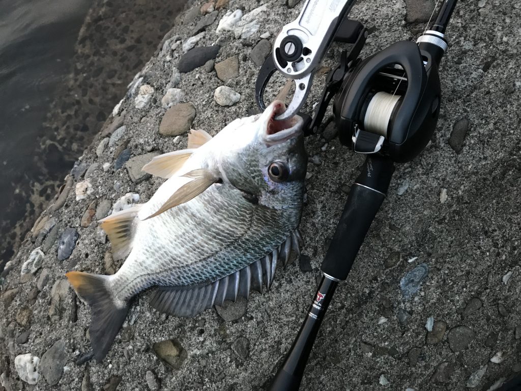 フィッシュグリップイメージ