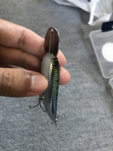 ライザーベイトイメージ