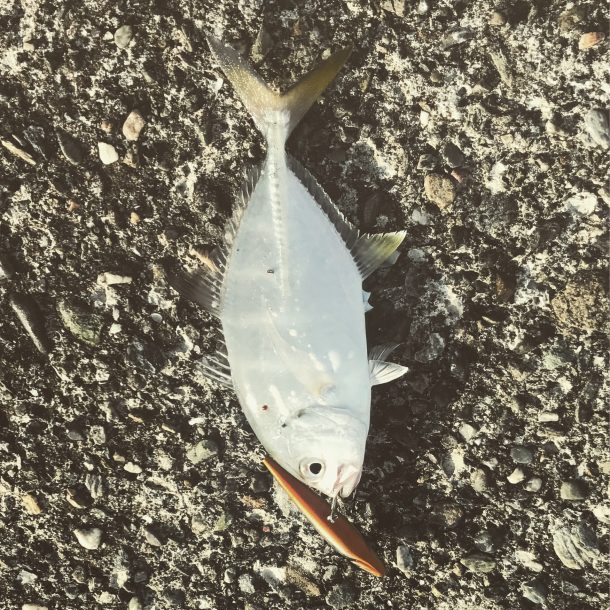 トップでメッキ画像