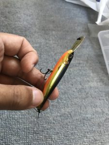 ライザーベイトイメージ