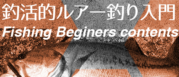 釣り入門