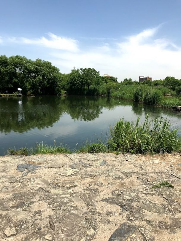 足場がいい淀川城北ワンド