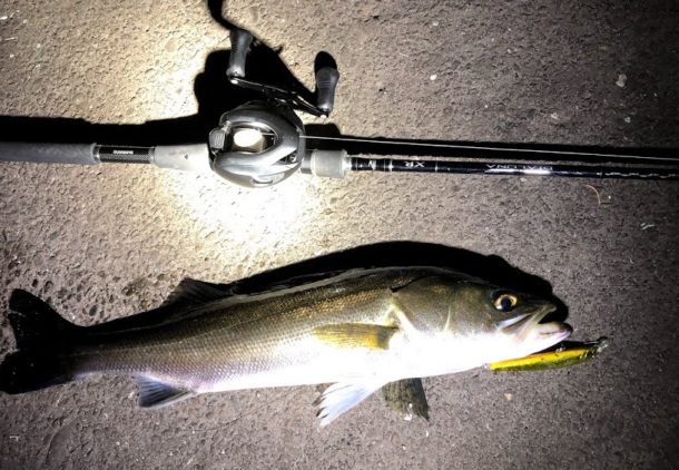 高い釣具を使うと釣りがうまくなるのか？