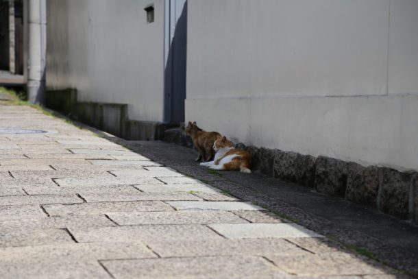 スタンバイ中は物陰にいる