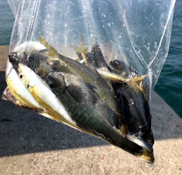 お土産確保画像