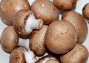 マッシュルーム