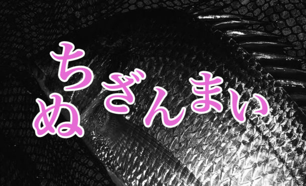 潮は悪いが好調キープ！チニングざんまい