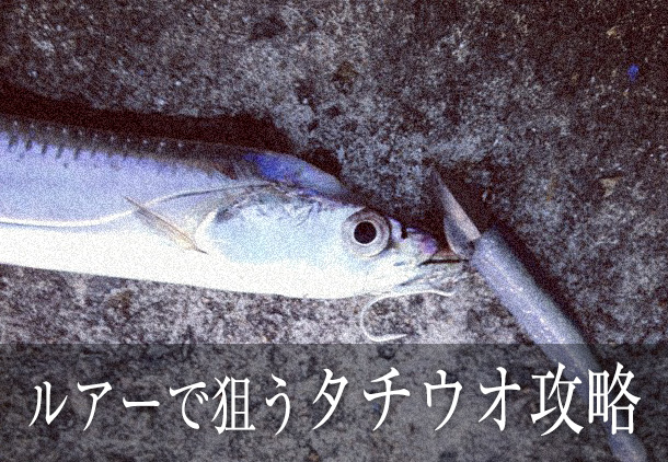 岸から狙うタチウオ攻略！テンヤ？ウキ？ルアー？釣れる釣り方と仕掛け