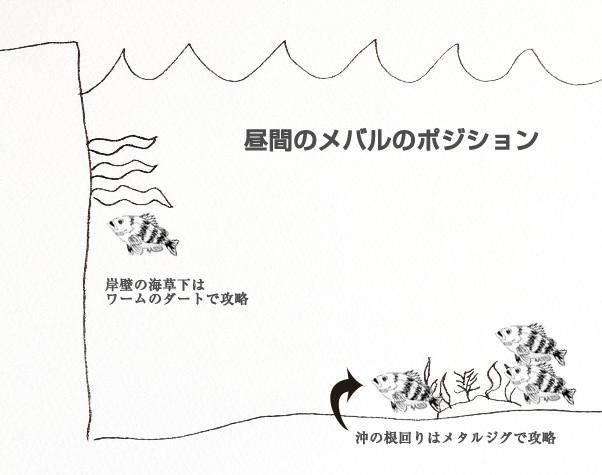 昼間のメバルの釣り方図