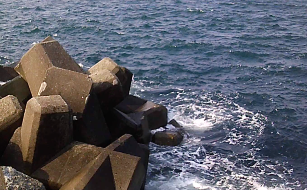 外向きのテトラは波しぶきがすごすぎて