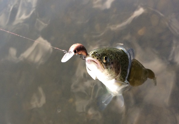 ツブアンでゲット