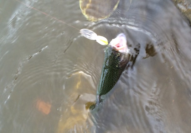 ツブアンディープダイバーでも