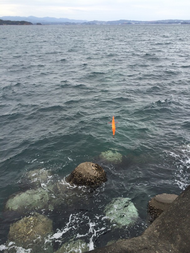 エギングイメージ