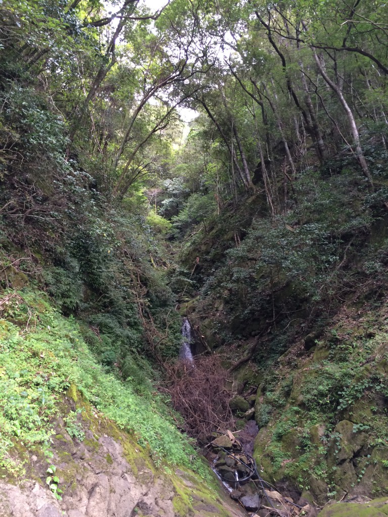 合川ダムの景色