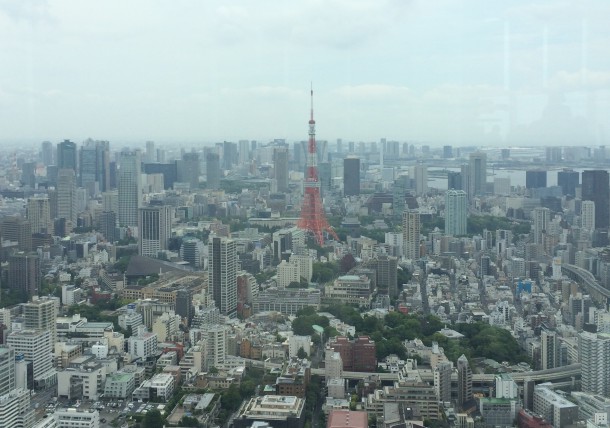 ヒルズからの眺め