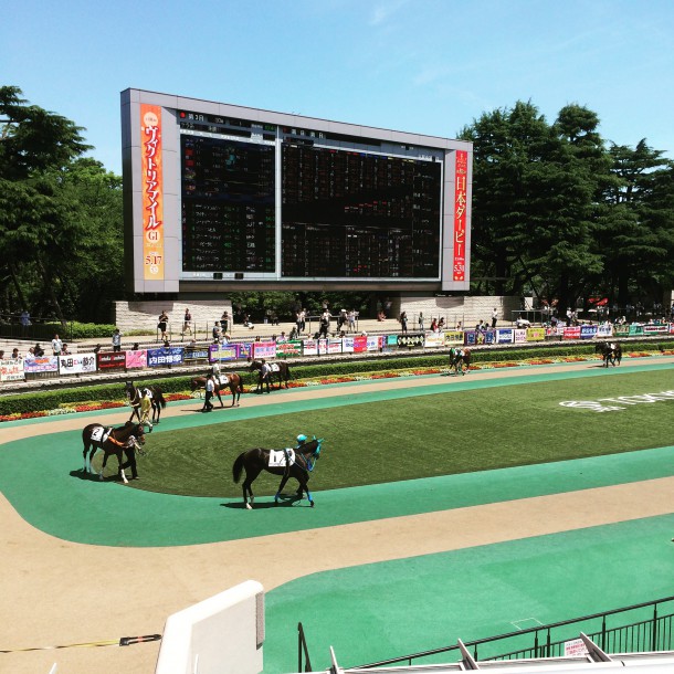 東京競馬場