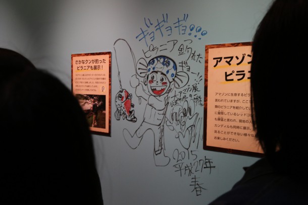 アマゾン展