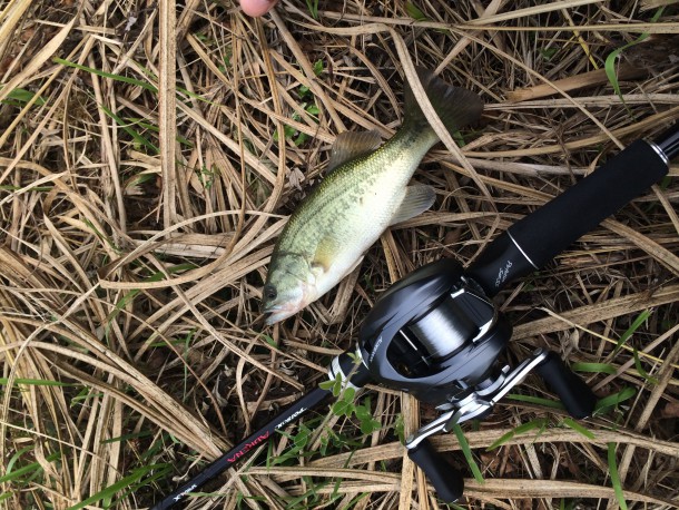 アルデバランとバス