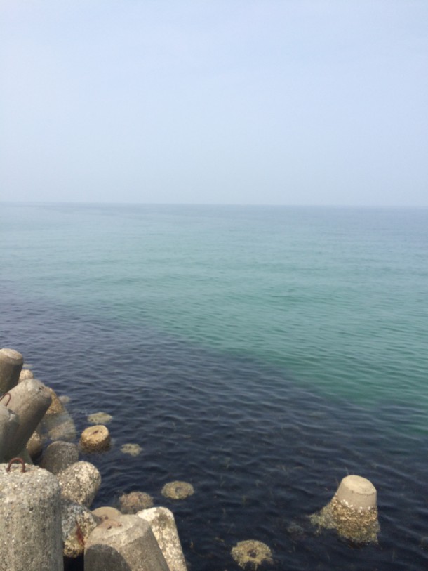 ポイントの様子