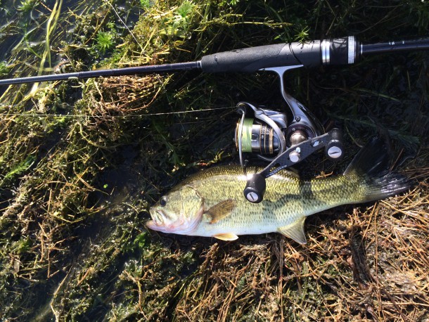 ウィードから強引に