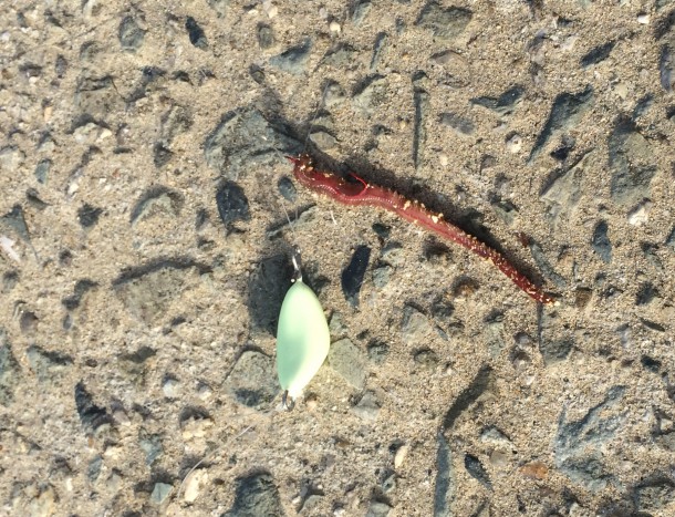 ハゼ釣りの仕掛けイメージ